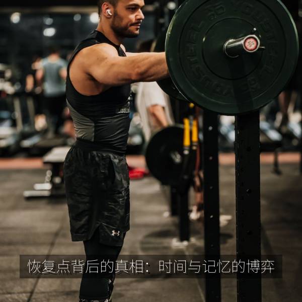恢复点背后的真相：时间与记忆的博弈 海报